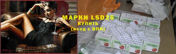 spice Алзамай
