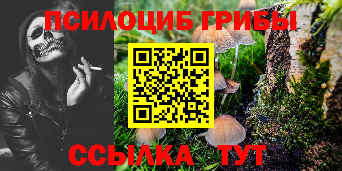 Куйбышев  Галлюциногенные грибы Psilocybe  Вход с VPN  Галлюциногенные грибы прущие грибы 