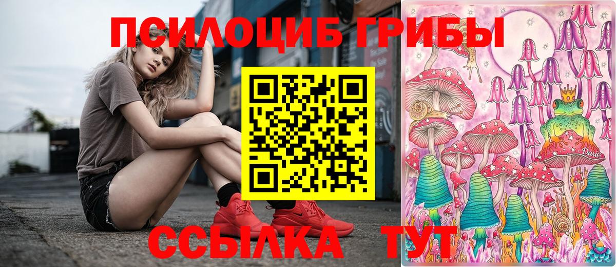 Псилоцибиновые грибы Psilocybine cubensis Куйбышев
